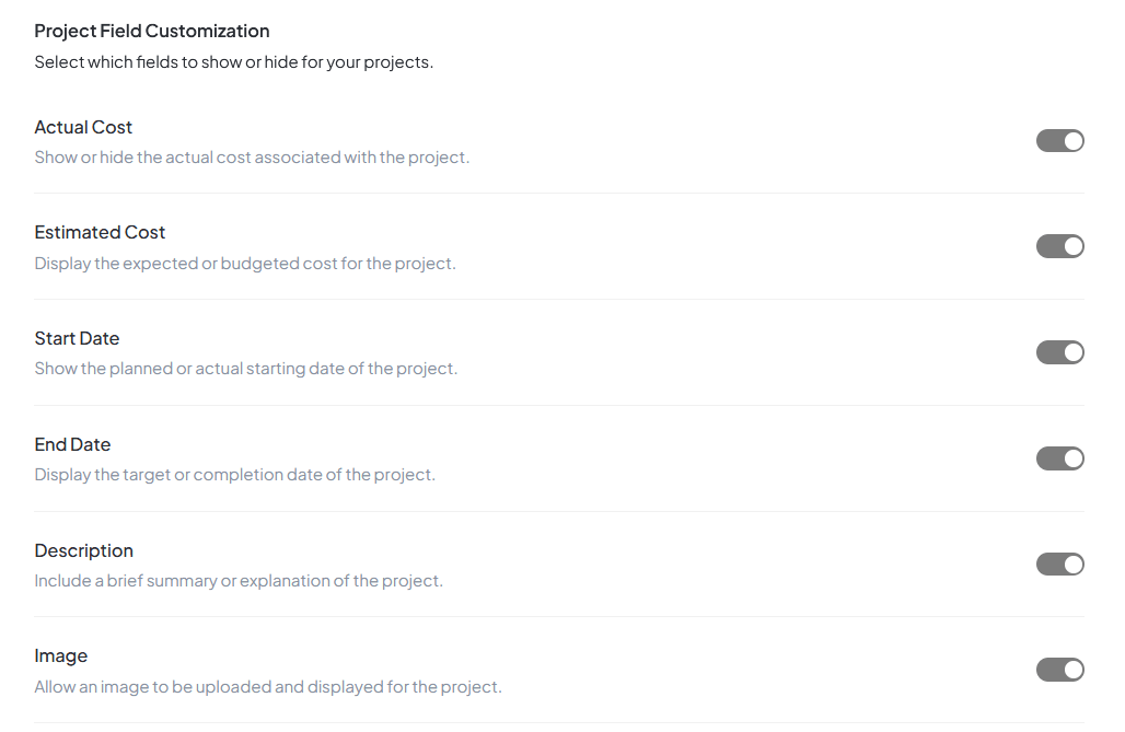 Project Field Customization Interface